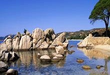 新浪爱彩的西甲积分榜能实时反映西甲球队竞争态势吗？